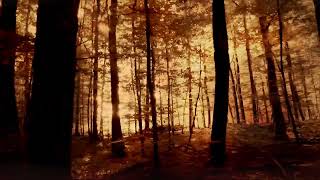 Blank &amp; Jones feat. Mick Roach - Christian (Official Video)