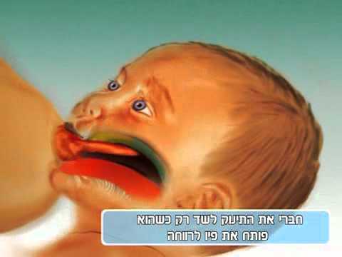 קורס הנקה בווידאו: פרק 2: חיבור נכון לשד