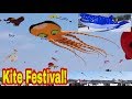 COLOR THE WIND KITE FESTIVAL KITE FESTIVAL CLEAR LAKE FEBRUARY 2020 USA