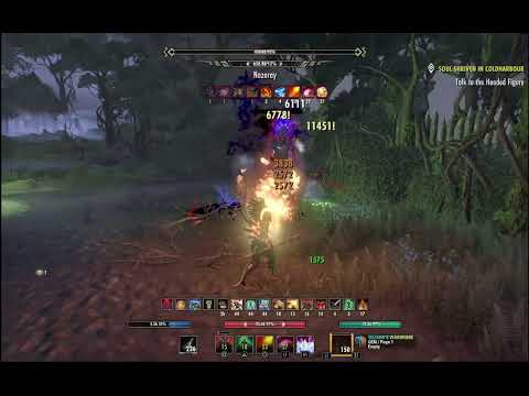 Solo Vet Shipwright's Regret (SWIFTAGE)