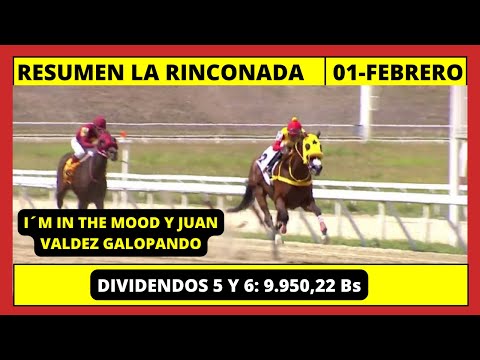 RESUMEN COMPLETO👉LA RINCONADA INH HOY DOMINGO 01 DE FEBRERO DE 2026
