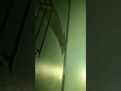 “A Day in Paradise ⛱️ | Calm Ocean Sounds & Sunset Views” #video #beachmusic #beachywaves #beachlive