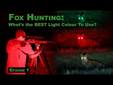 YouTube video about: What color light can coyotes not see?