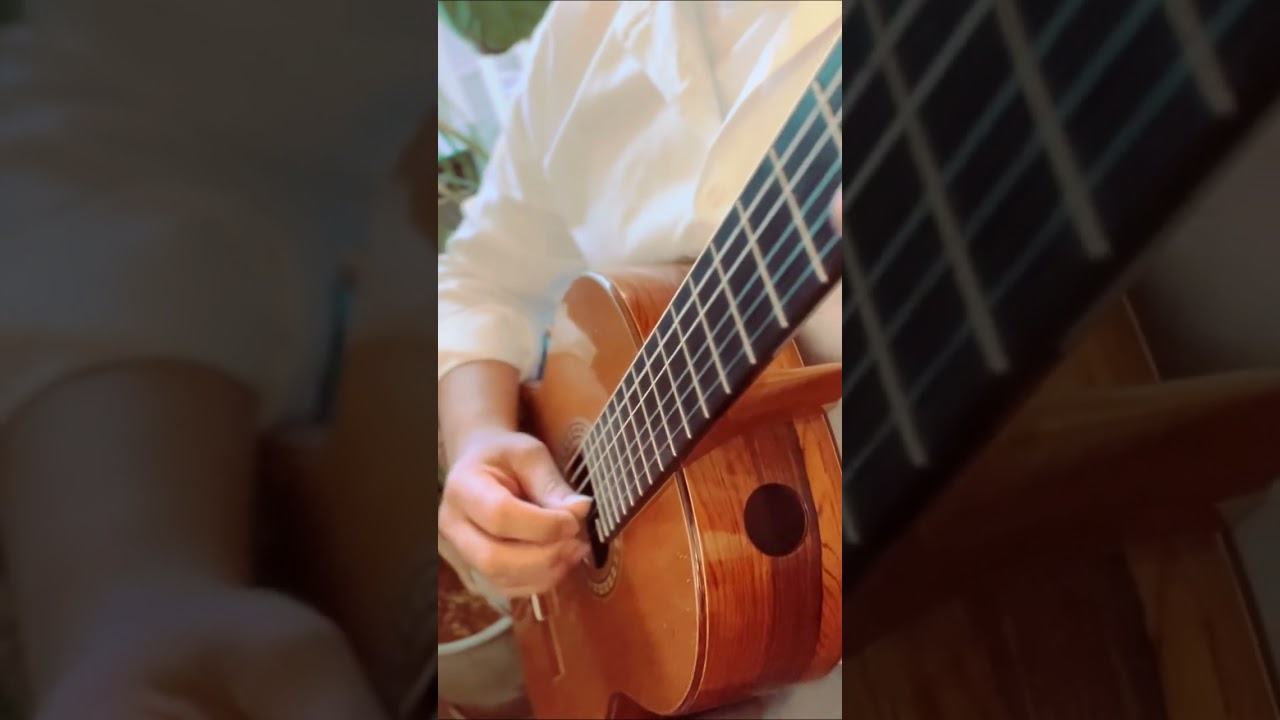Promotional video thumbnail 4 for Nick Fuentes Classical Guitarist