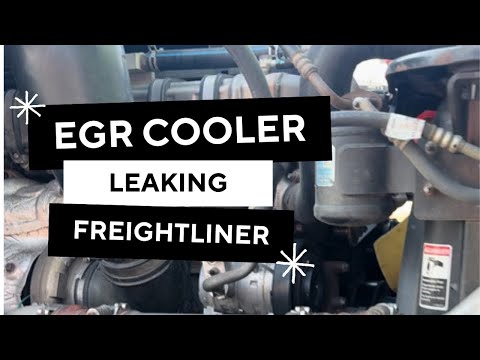 EGR cooler leaks from this Freightliner Cascadia, how to tell your EGR cooler is bad