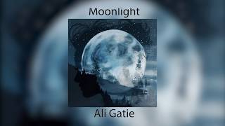 Musik-Video-Miniaturansicht zu Moonlight Songtext von Ali Gatie