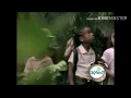 Sesame Street B Jungle City