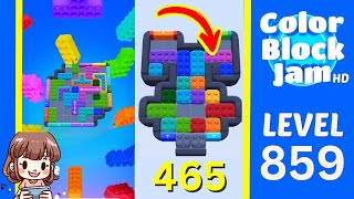 Color Block Jam 第 859 关攻略