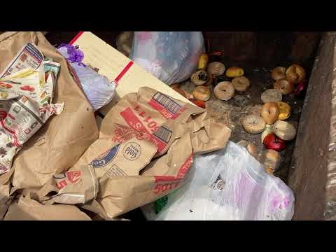 Dirty Dumpster Causes Fly Infestation in Jackson, NJ