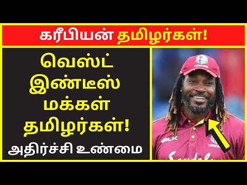 கரீபியன் தமிழர்கள்  | Nandhi Varman speech | public speaking | famous public speakers | clear speech