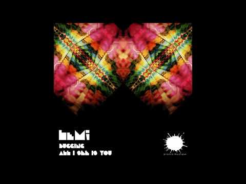 LeMi, James Reid, Natasha Flame - All I See Is You (Original Mix)