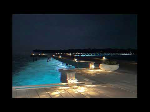 *FREE* Playboi Carti x Young Nudy Type Beat "Stone Island"