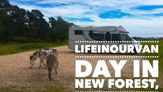 LifeinourVan - Day in the New Forest, Hampshire