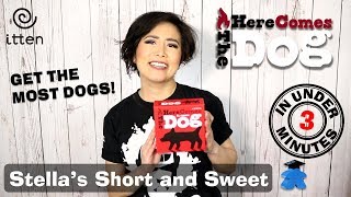 Here Comes the Dog Board Game - Stella's Short and Sweet