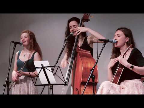 Amelie Acoustic Trio - Колыбельная медведицы