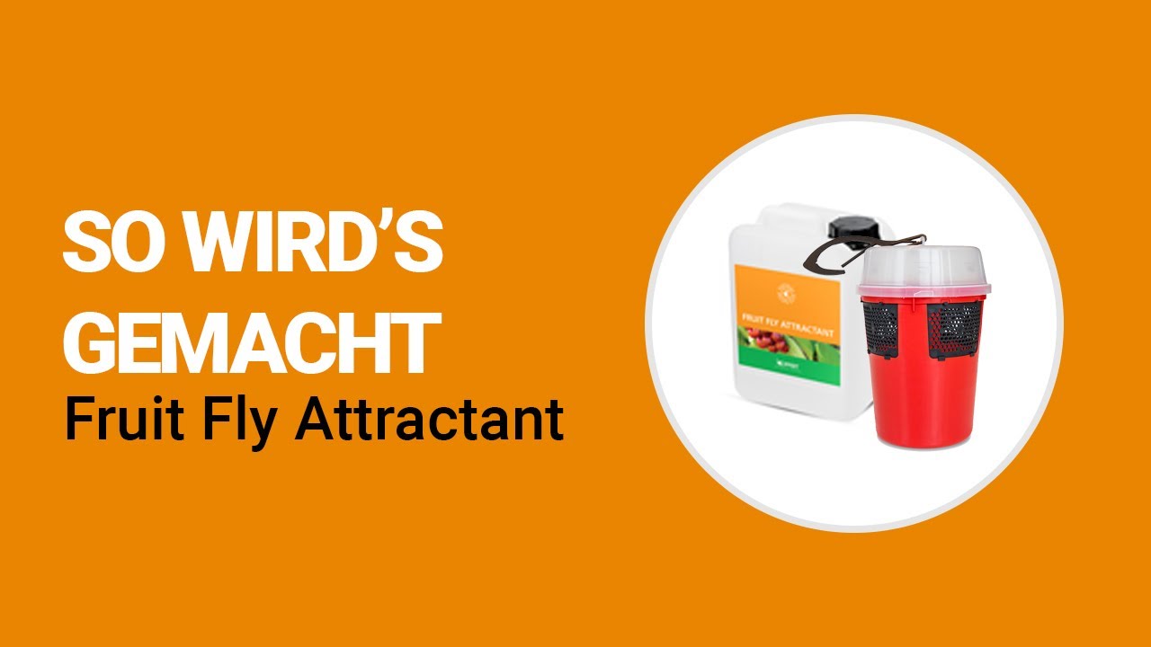 Video preview poster