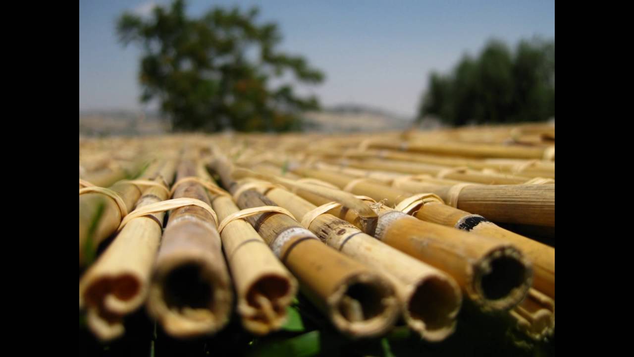 סכך לסוכות - חייג 072-2133333