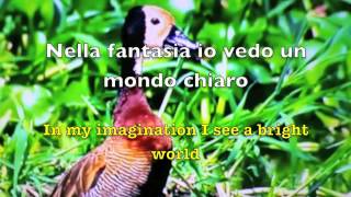 Nella Fantasia (In My fantasy) lyrics - Jakie Evancho