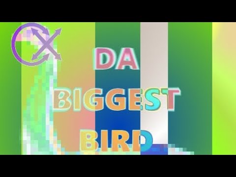 SAINT MERCATØR - Da Biggest Bird (CARELEXX BOOTLEG)