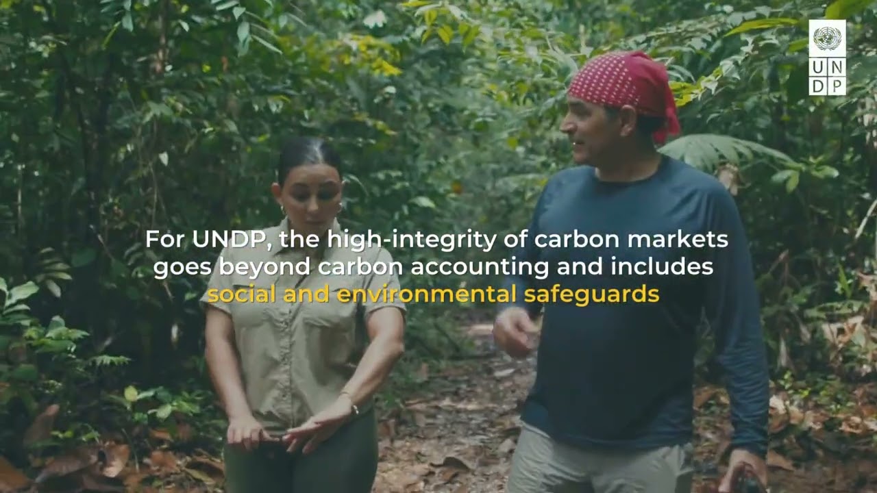 UNDP's High-Integrity Carbon Markets Initiative