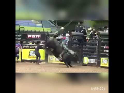 EDNEI CAMINHAS - RODEO