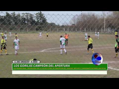 LOS GORILAS CAMPEON DEL APERTURA 2017 DE LA LIGA  PROMOCIONAL DE FUTBOL DE LA LIGA DE CONCEPCION DEL