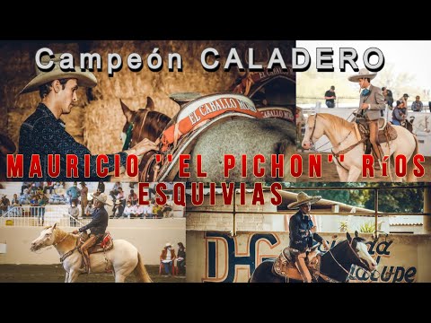 Campeón CALADERO Mauricio Pichon Ríos | Dinastía Ríos