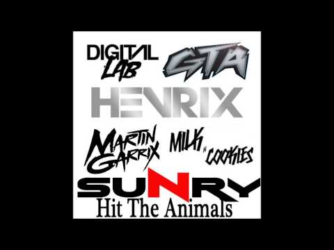 GTA, Henrix & Digital Lab VS  Martin Garrix VS  Milk N Cookie   Hit The Animals Sunry Mashup)