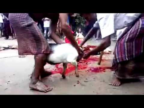 download lagu mp3 mp4 Xnz, download lagu Xnz gratis, unduh video klip Xnz