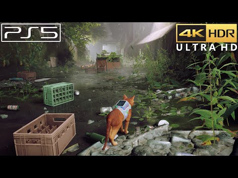 Stray (PS5) 4K 60FPS HDR Gameplay
