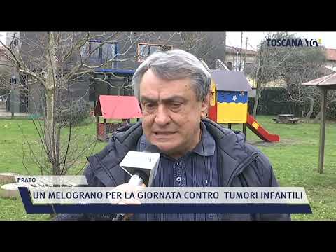 2022-02-18 PRATO - UN MELOGRANO PER LA GIORNATA CONTRO  TUMORI INFANTILI