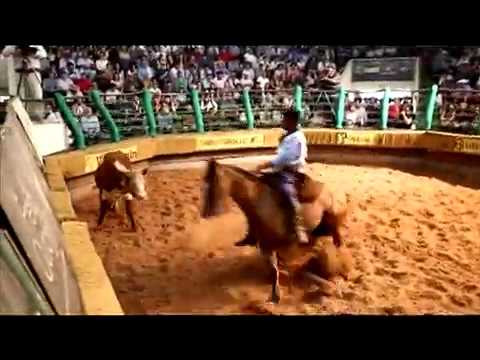 Bocal de Prata nas Fêmeas 2017  -  Jeitosa do Mano a Mano