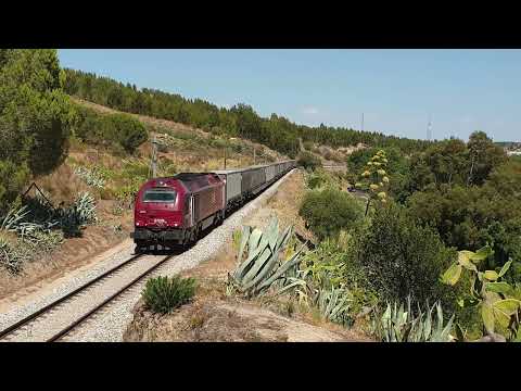 Comboio Especial n.º 98204/5 - Barquinha