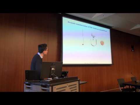 TMII -Nanomedicine Day:Innovation & Translation 20131018 part 1