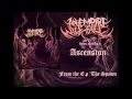An Empire Will Fall - Ascension (New Single!!) 