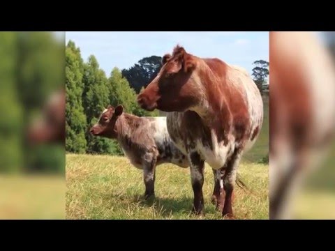 Are we trying to sell a secret?