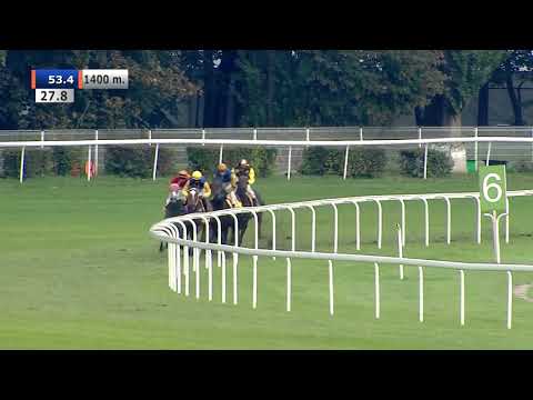 18.10.2020 (D42; G2; Tor: 3,9; 7°C) Nagroda Intensa - (kat.B)