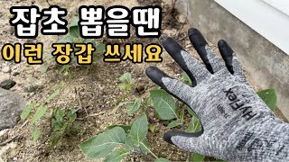 전원생활 필수템 안셀 하이플렉스801 작업장갑