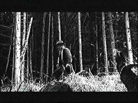 WeltenBrand - Das Nachtvolk