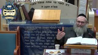 הרב יהושע ויזגן מסכת חולין דף סב עמוד ב' (בית הכנסת מוסאיוף) - התמונה מוצגת ישירות מתוך אתר האינטרנט יוטיוב. זכויות היוצרים בתמונה שייכות ליוצרה. קישור קרדיט למקור התוכן נמצא בתוך דף הסרטון