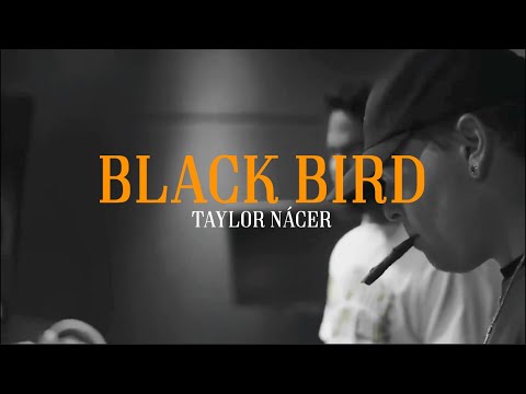 Taylor Nacer - Black Bird