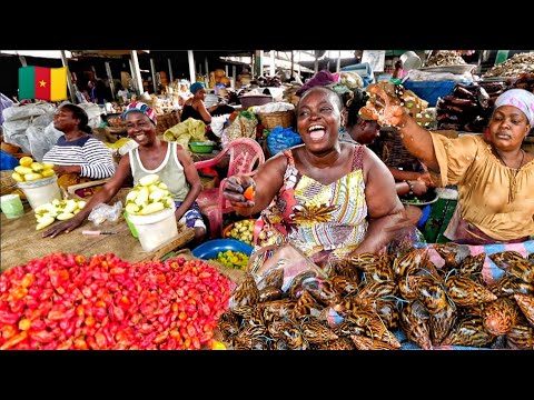 Cost of living in Yaounde Cameroon 🇨🇲 2025. What $40 will get you in the Mfoundi food market Yaounde