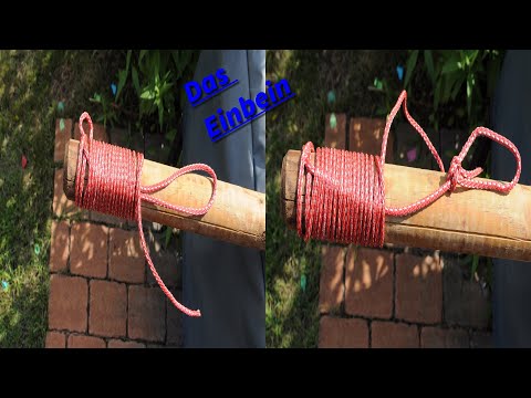 Das Einbein / Der Einbaum