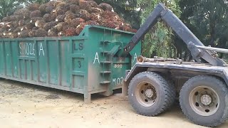 Download lagu palm oil transport menggunakan truk bin lory sawit... mp3