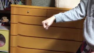 【おもしれぇから見ろ】 暴走族を掃除機でモノマネしたった