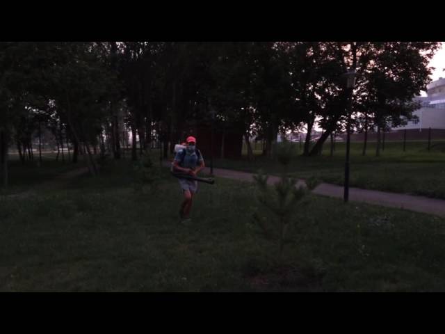 Обработка деревьев