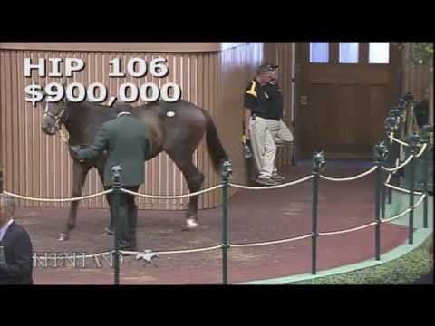 War Front colt sells for $900,000 at 2015 Keeneland September yearling sale