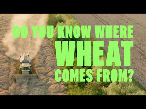 Wildfarmed grain and farming