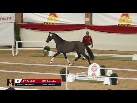 Lot 48 v. Extra Gold / Showmaker