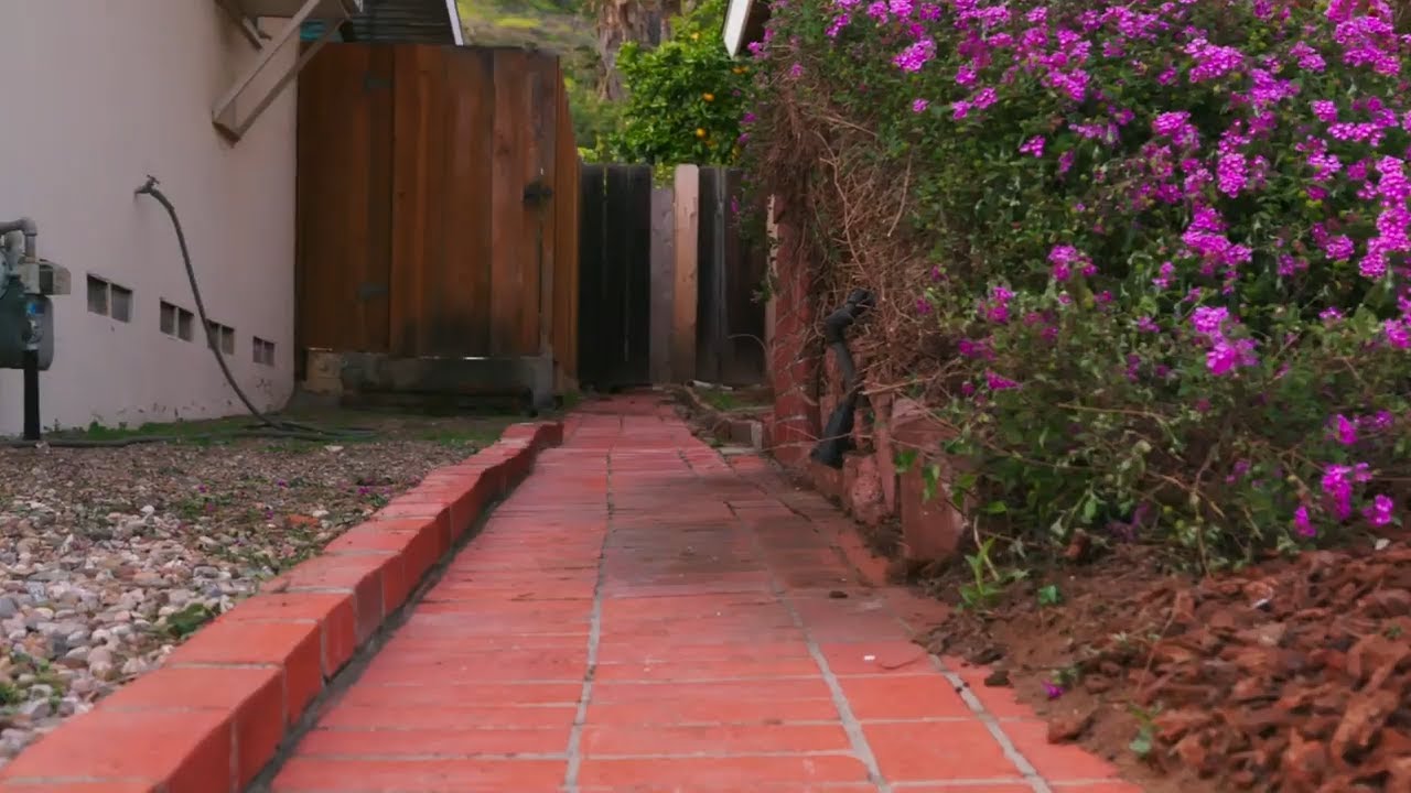 Cleaning up Unruly Shrubs to Enhance Curb Appeal